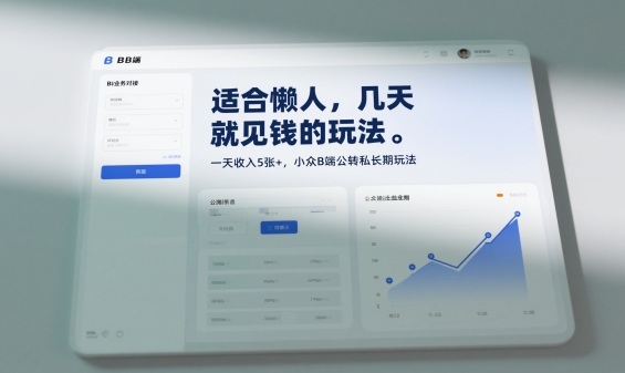 适合懒人，几天就见钱的玩法，一天收入5张+，小众B端公转私长期玩法-网亿资源平台