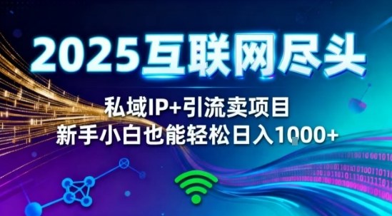 2025网创尽头王炸项目！私域IP+精准引流，新手小白在家躺賺日入1k，零经验也能上手【揭秘】-90网