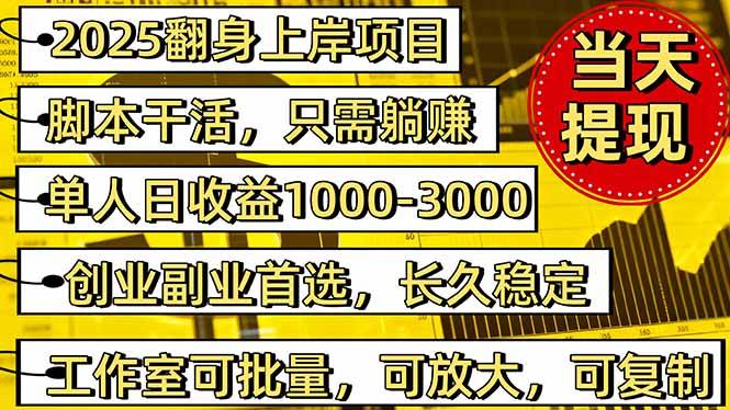 （16501期）2025翻身上岸项目脚本干活，内部客户经理内部开号，单人日收益1000-300…-网亿资源平台