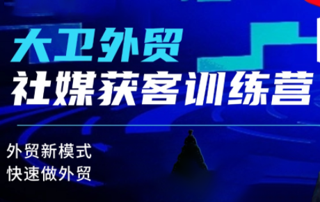 大卫老师·外贸社媒获客独家训练营(更新)-网亿资源平台