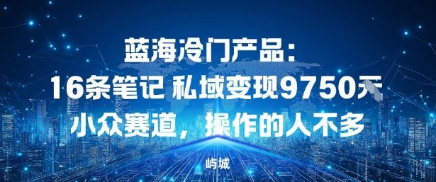 蓝海冷门产品：16条笔记私域变现9750米，小众赛道，操作的人不多-网亿资源平台