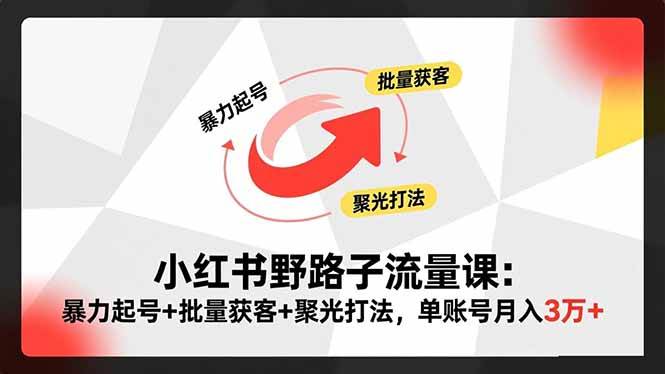 （16513期）小红书野路子流量课：暴力起号+批量获客+聚光打法，单账号月入3万+-网亿资源平台
