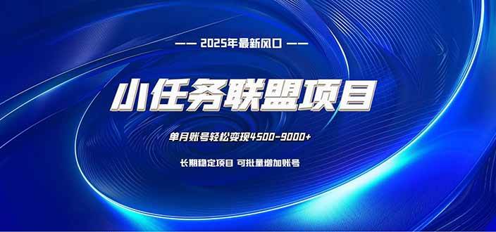 （16521期）小任务联盟项目：一台电脑每天只需10分钟，轻松简单稳定-网亿资源平台