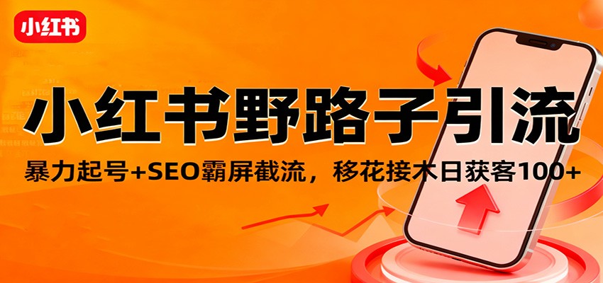 小红书野路子引流,暴力起号+SEO霸屏截流,移花接木日获客100+-邪修侠 - 演示