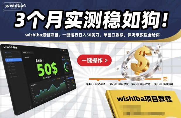 3个月实测稳如狗！wishlba最新项目，一键运行日入50美刀，单窗口躺挣，保姆级教程全给你【揭秘】-90网