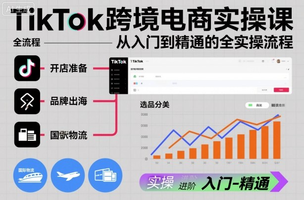TikTok跨境电商实操课,从入门到精通的全实操流程-邪修侠 - 演示