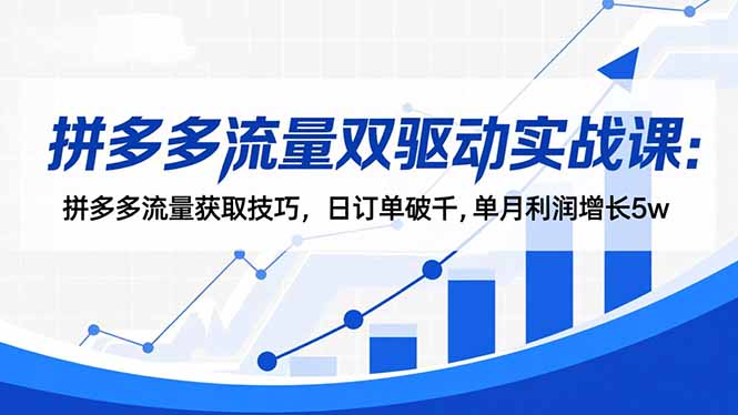 拼多多流量双驱动实战课:拼多多流量获取技巧,日订单破千,单月利润增长5w-邪修侠 - 演示