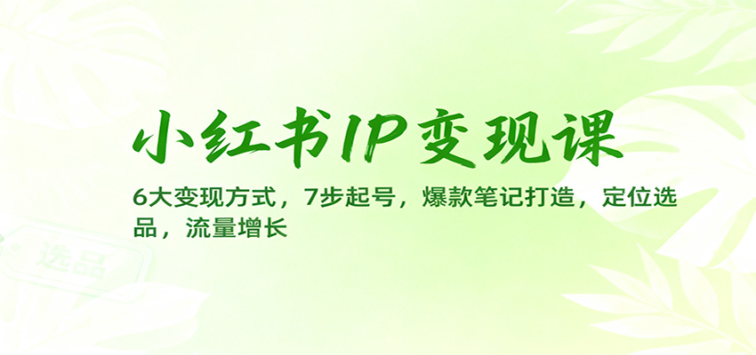 小红书IP变现课：6大变现方式，7步起号，爆款笔记打造，定位选品，流量增长-邪修侠 - 演示
