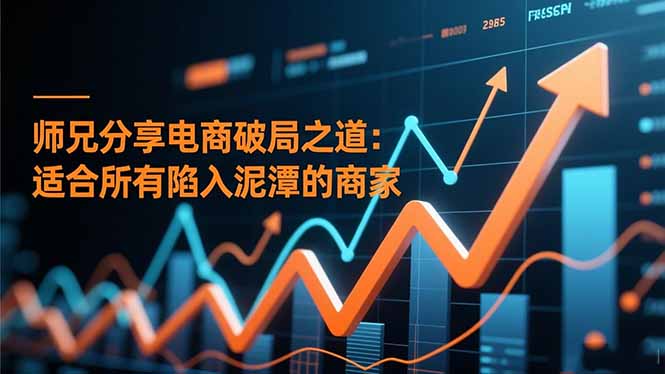 师兄分享电商破局之道：适合所有陷入泥潭的商家-邪修侠 - 演示