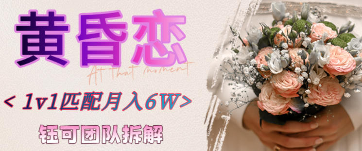 副业拆解：黄昏恋1对1匹配月入6个，潜力巨大-网亿资源平台
