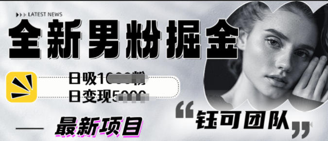 全新男粉掘金思路日吸粉100+日变现1k+-网亿资源平台