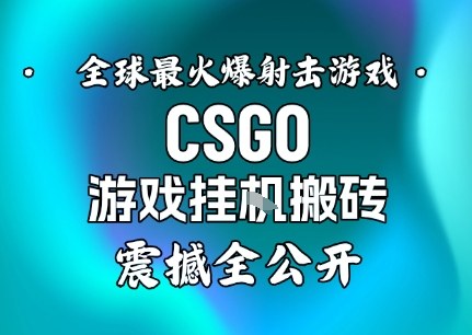 【年底大揭秘】基于全球最火爆的射击CSGO游戏挂G搬砖，日入5张+，震撼公开-90网