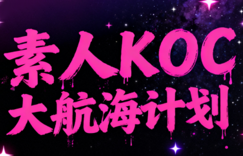 超萌素人KOC大航海计划-邪修侠 - 演示