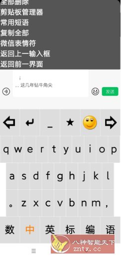 点明输入法v3.0.0729 --专为视障朋友打造的盲用输入法-网亿资源平台