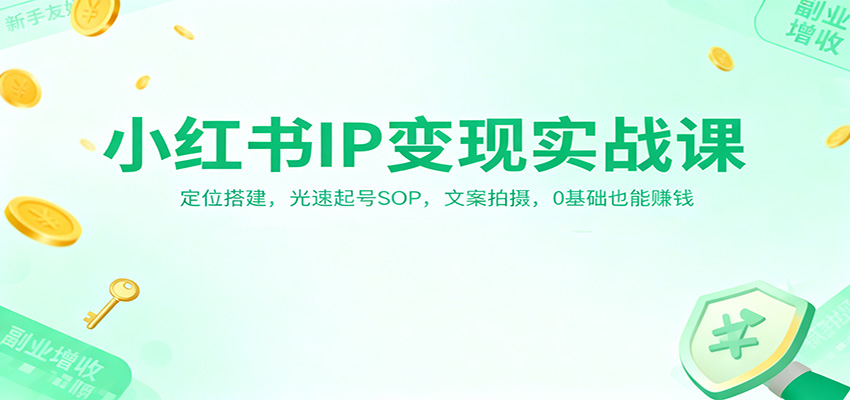 小红书IP变现实战课：定位搭建，光速起号SOP，文案拍摄，0基础也能赚钱-邪修侠 - 演示