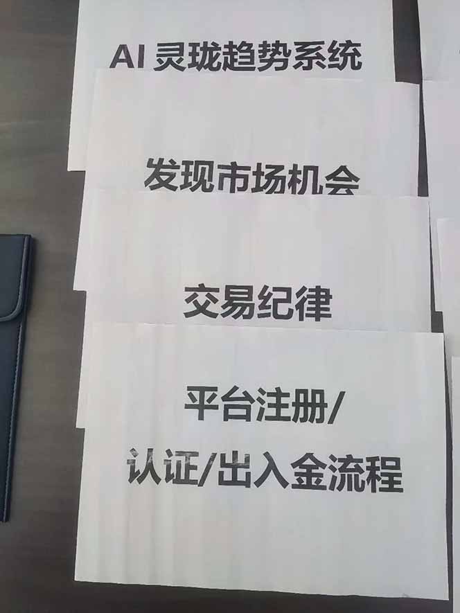 图片[3]-海外美金AI掘金项目，200U可入门槛，一天一单即可，每天1000-2000很轻松！-邪修侠