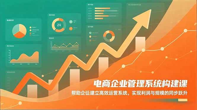 （16643期）电商企业管理系统构建课：帮助企业建立高效运营系统，实现利润与规模的同步跃升-网亿资源平台