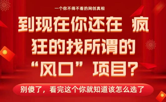 马上26年了，你还在找所谓的风口项目？别傻了，看完这个你全都懂了！【揭秘】-邪修侠