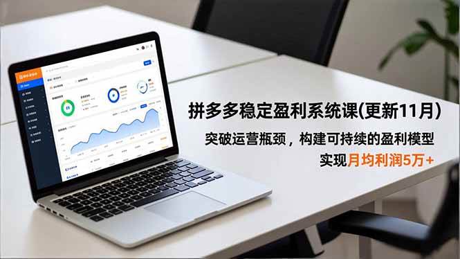 （16641期）拼多多稳定盈利系统课(更新11月)，突破运营瓶颈，构建可持续的盈利模型，实现月均利润5万+-网亿资源平台