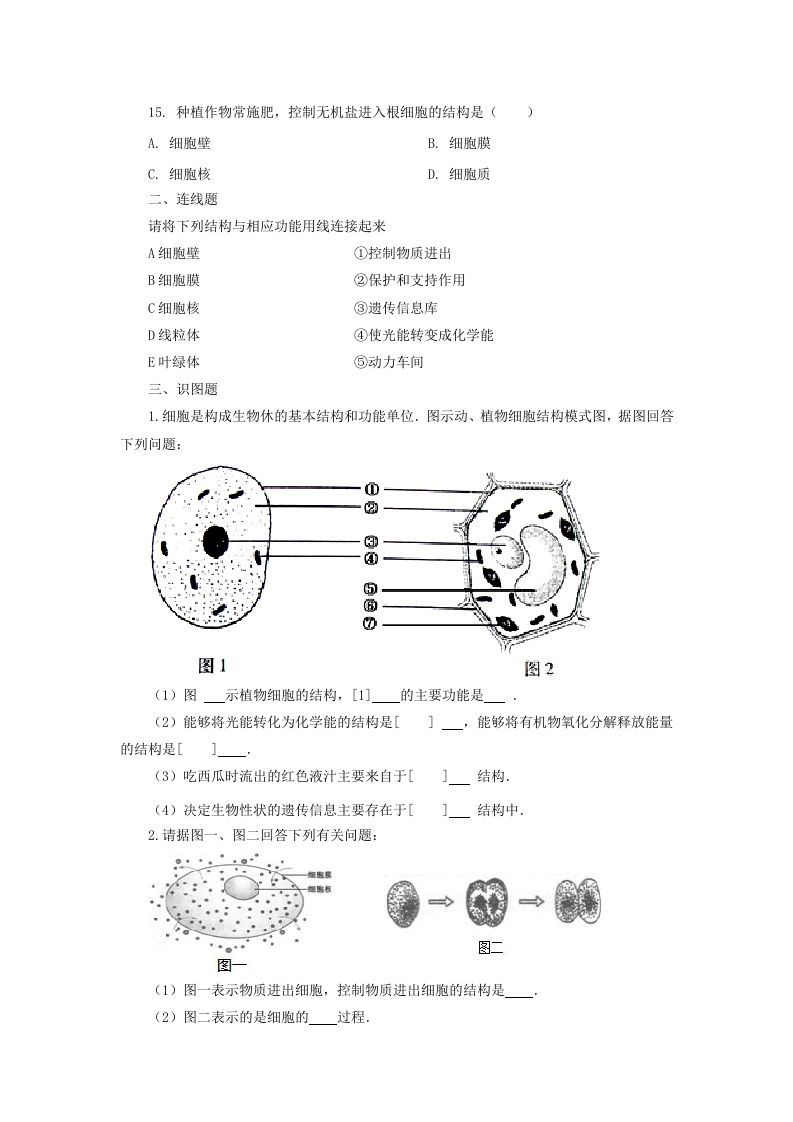 七年级上册生物第二单元第一章第四节试卷及答案(Word版)
