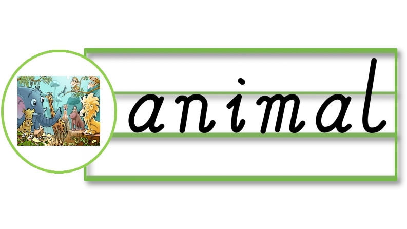 外研社新改版三起三下英语U1-6单词词卡-网亿资源平台