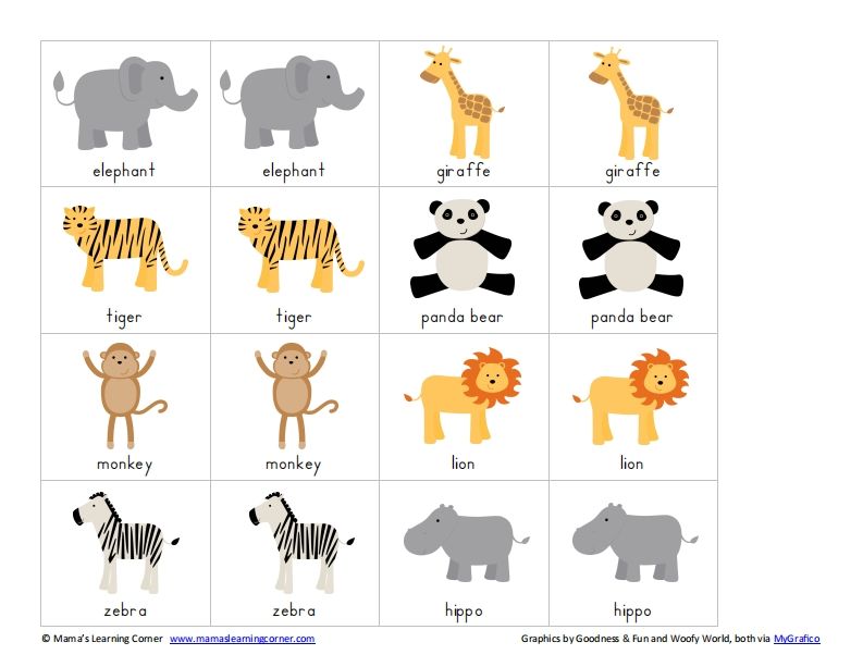 记忆卡片3-网亿资源平台