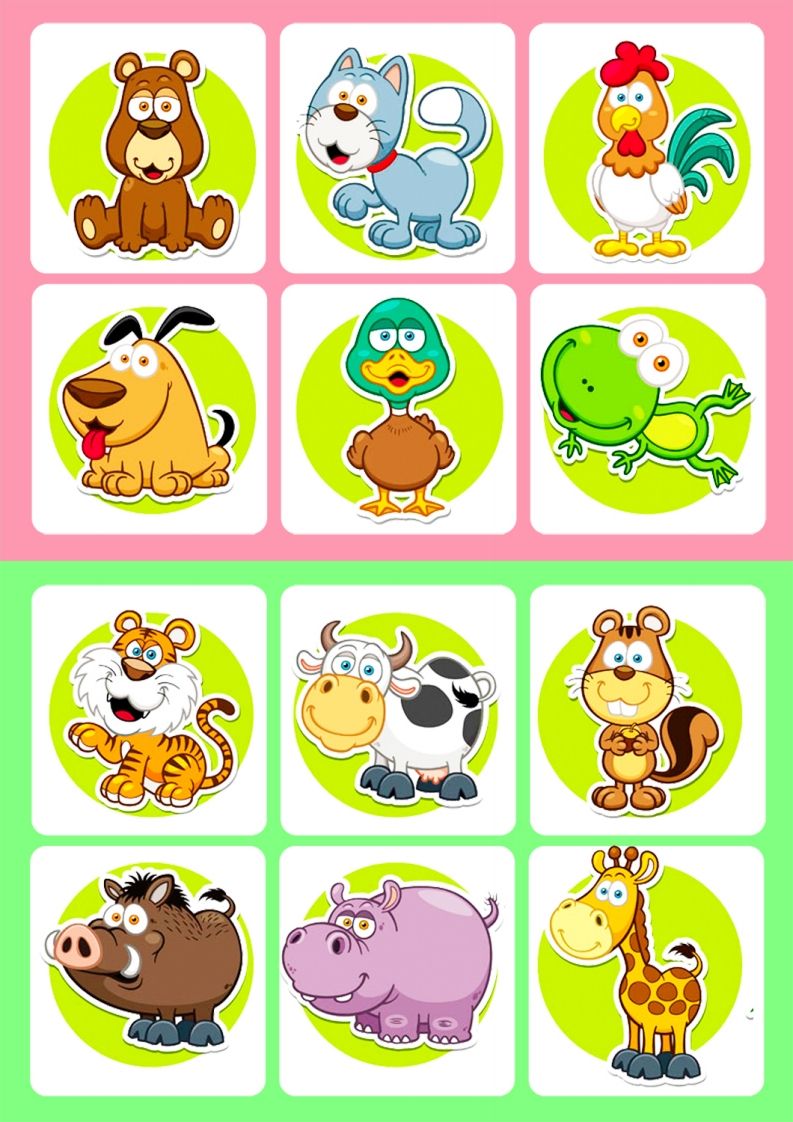 记忆卡片7-网亿资源平台