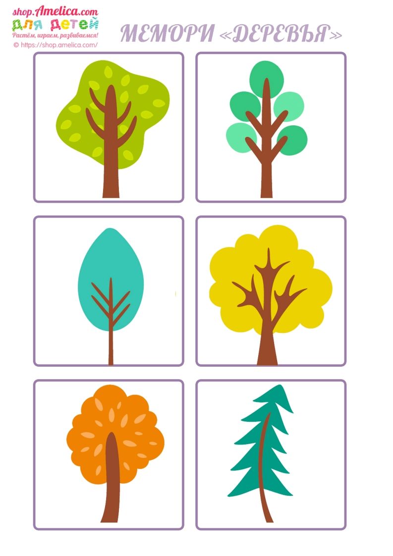 记忆卡片14-网亿资源平台