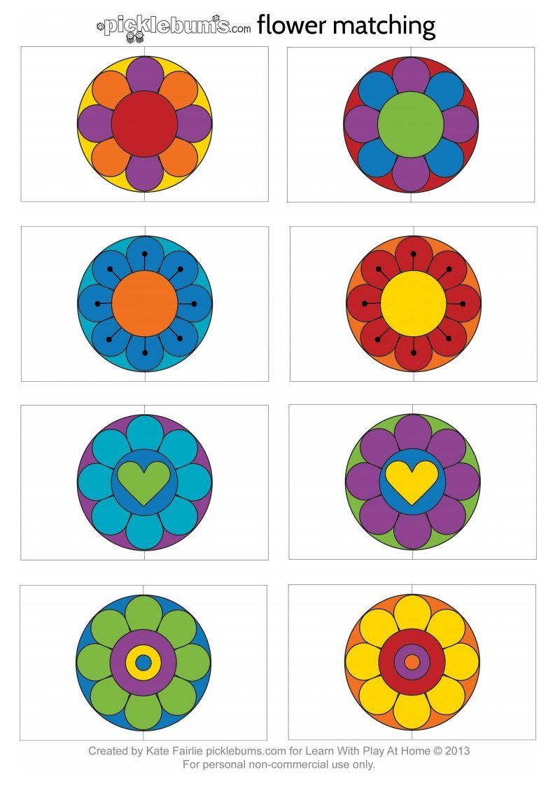 记忆卡片12-网亿资源平台