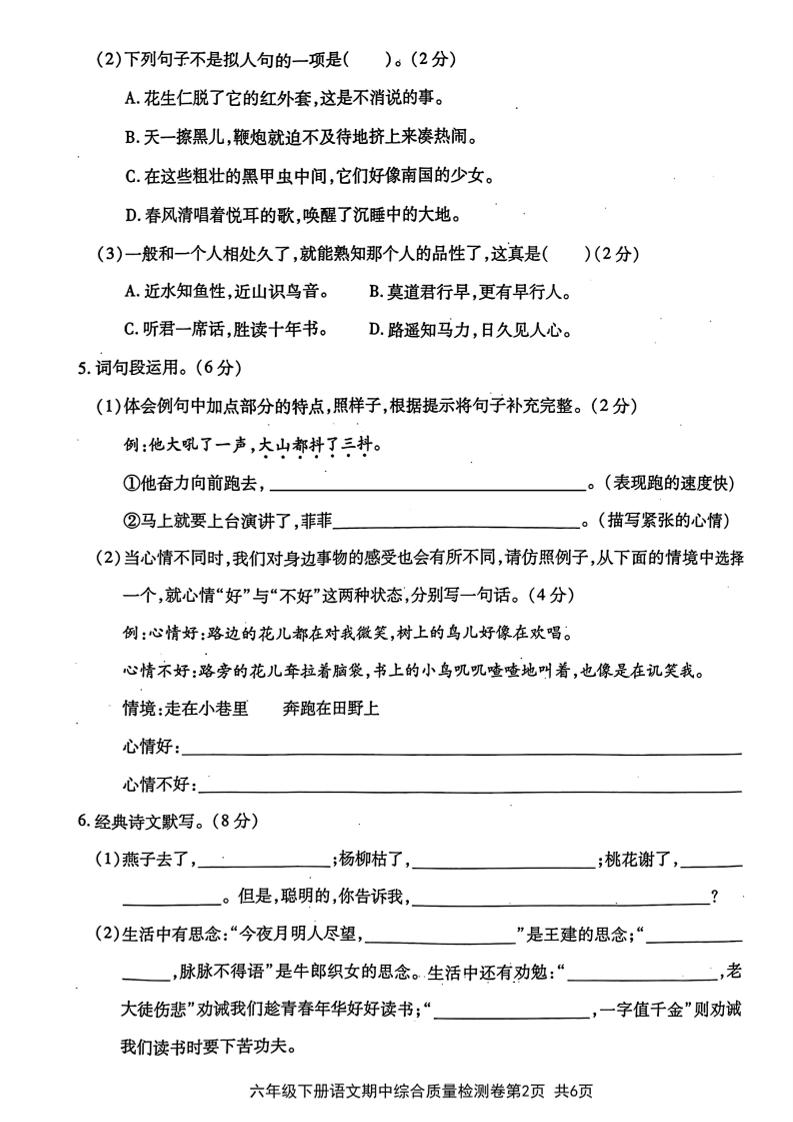 六年级下语文期中综合质量学情评估卷