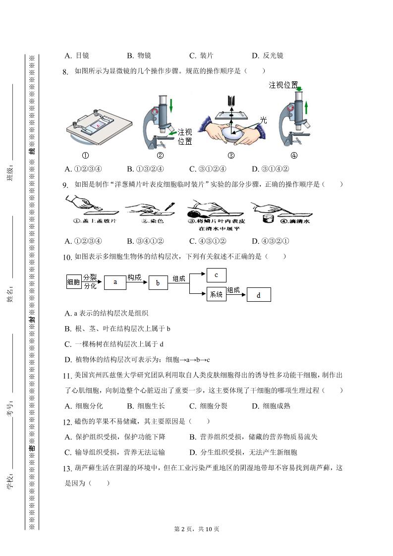 【2025秋新版】七年级上期中生物试卷