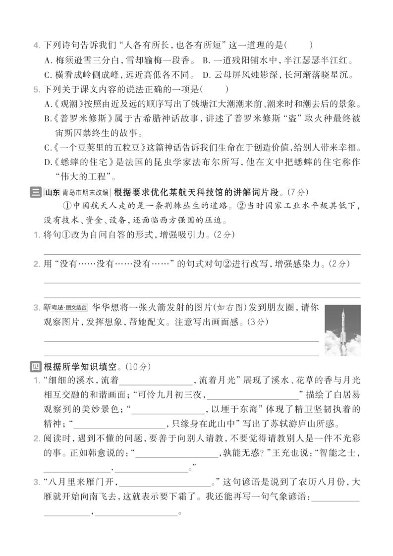 四年级上语文期中情境测试卷1