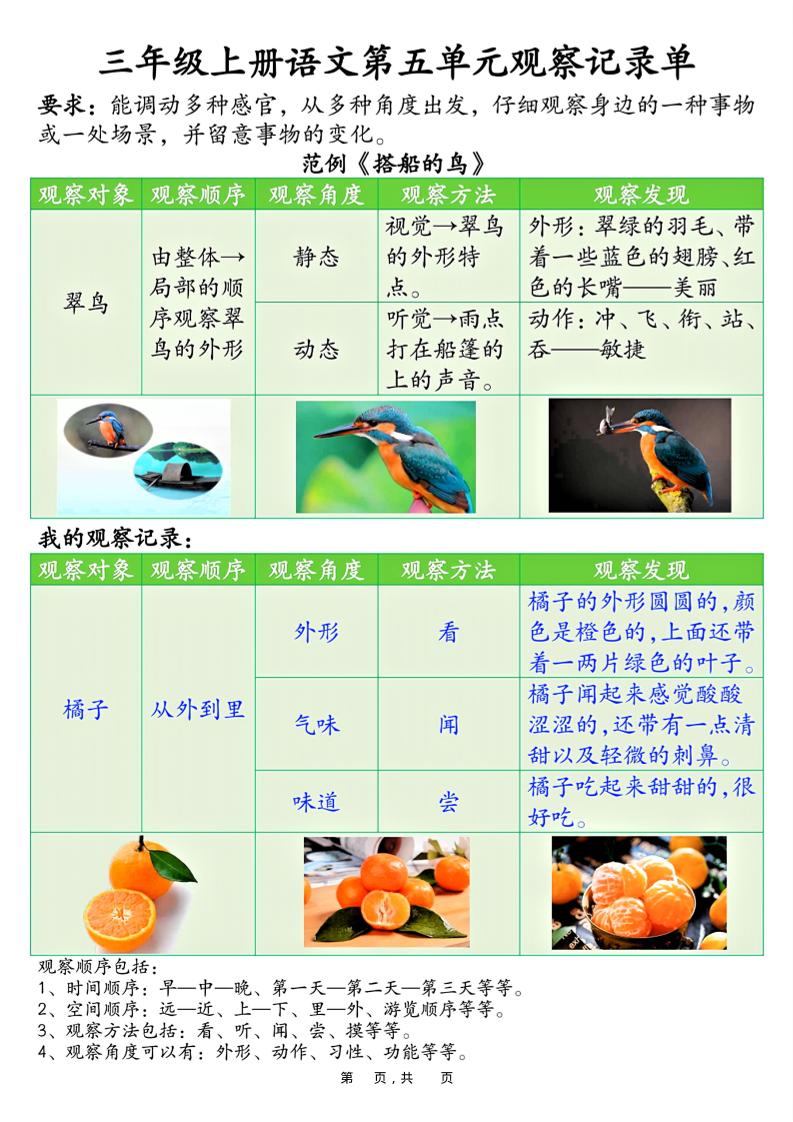 三上语文第五单元观察记录单（空白+答案14页）-网亿资源平台