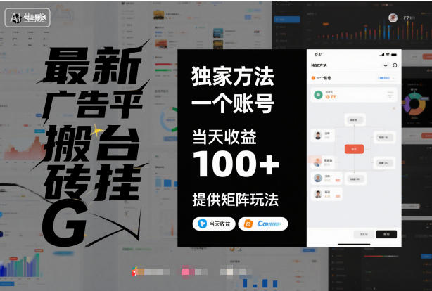 最新广告平台搬砖挂G，独家方法，一个账号，当天收益100+，提供矩阵玩法【揭秘】-邪修侠 - 演示