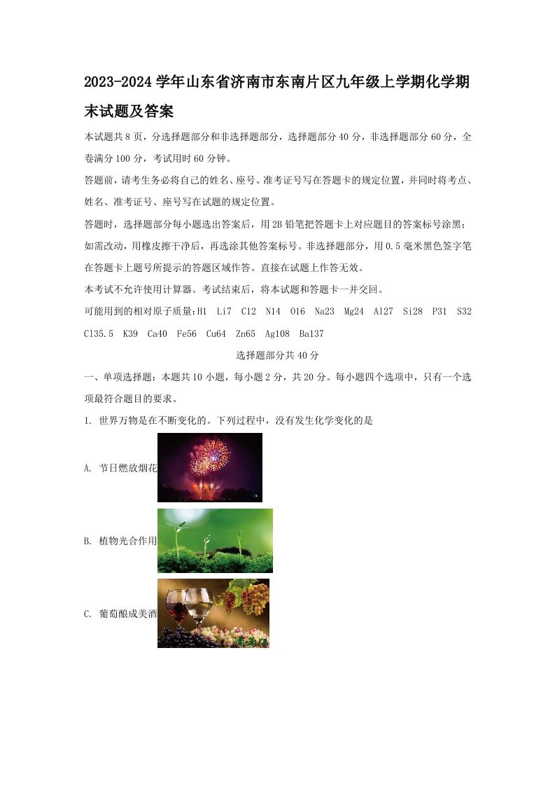 2023-2024学年山东省济南市东南片区九年级上学期化学期末试题及答案(Word版)-网亿资源平台