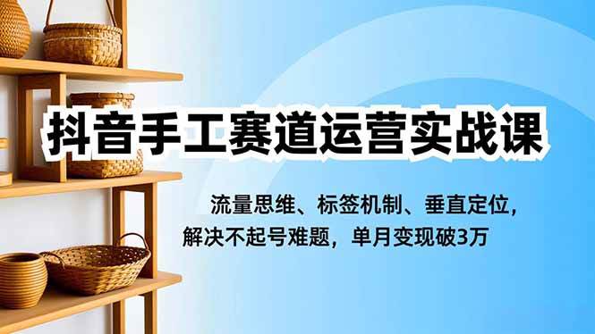（16667期）抖音手工赛道运营实战课，流量思维、标签机制、垂直定位，解决不起号难题，单月变现破3万-网亿资源平台