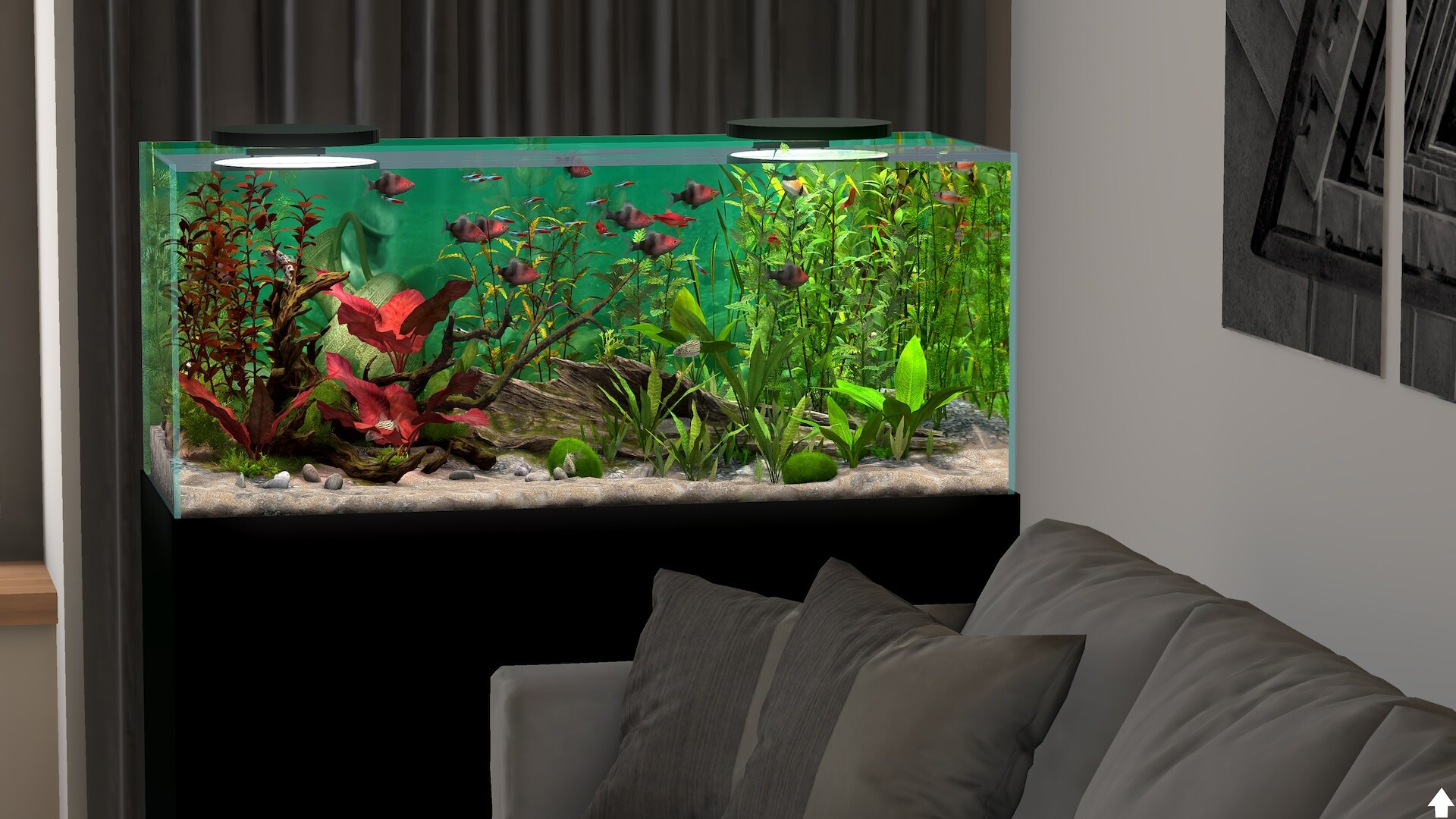 玻璃背后:水族馆模拟器/Behind Glass: Aquarium Simulator 玻璃背后:水族馆模拟器/Behind Glass: Aquarium Simulator