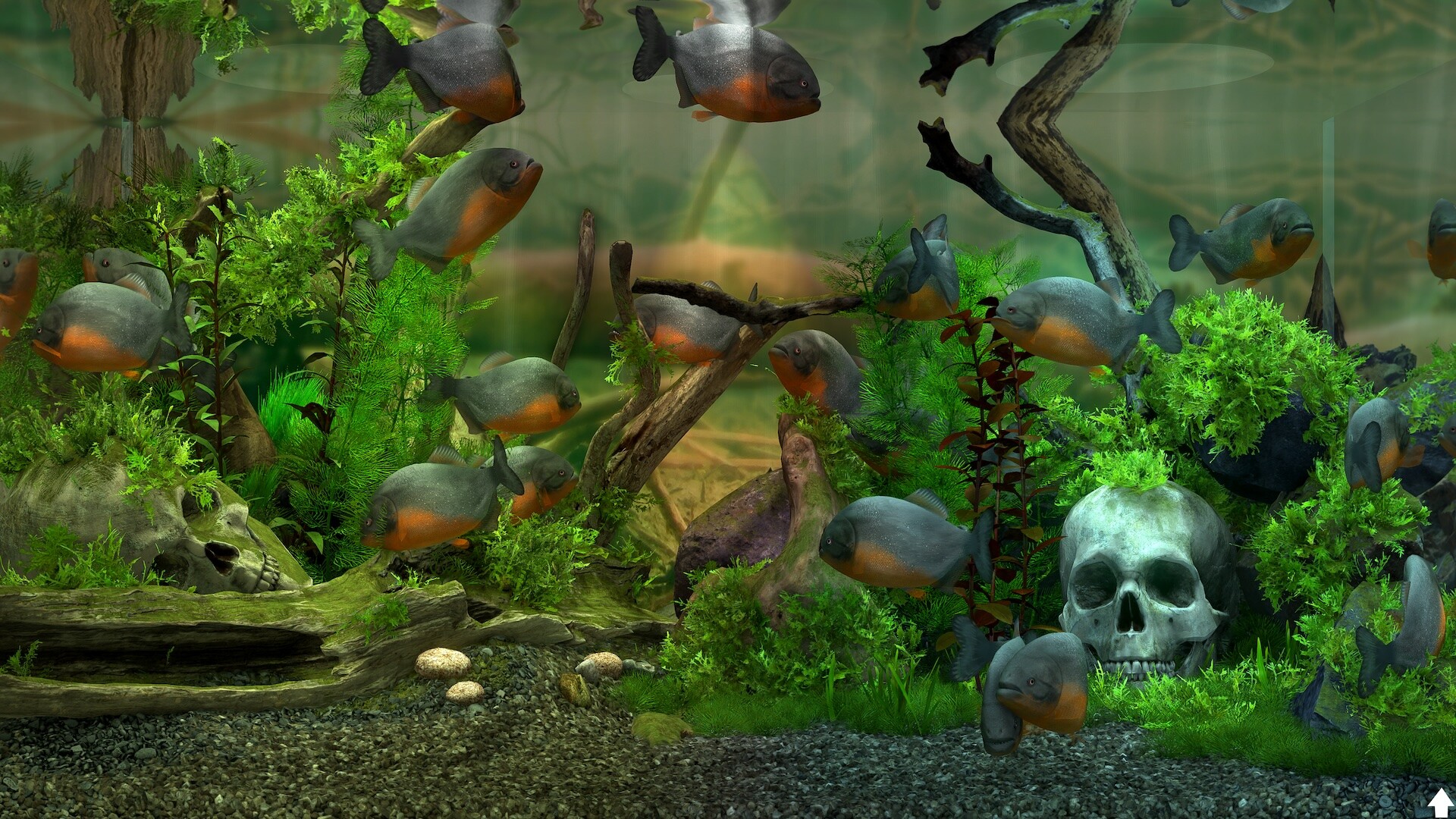 玻璃背后:水族馆模拟器/Behind Glass: Aquarium Simulator 玻璃背后:水族馆模拟器/Behind Glass: Aquarium Simulator