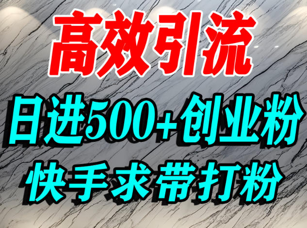 怎么打创业粉？快手求带视角精准引流创业粉，宝妈、学生群体日进500+精准流量-网亿资源平台