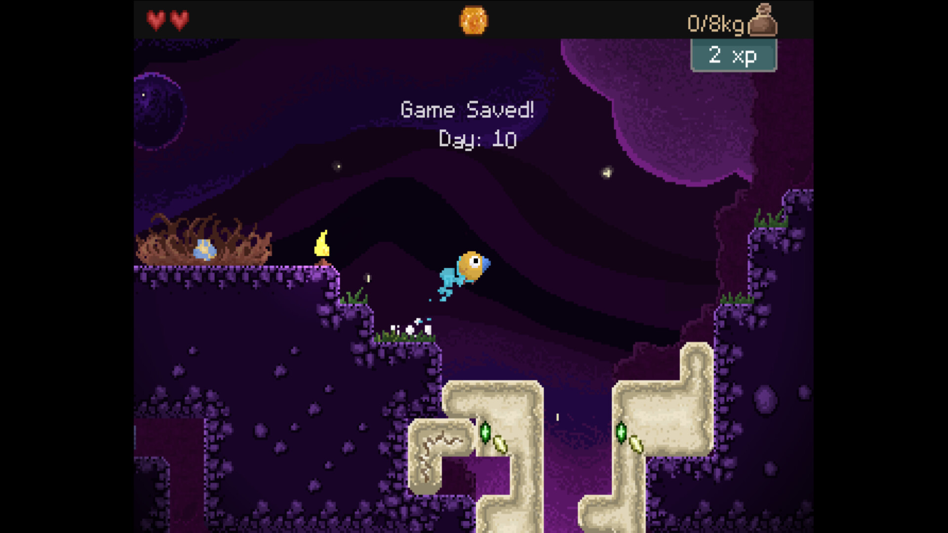 钻头鸟/Drill Bird-网亿资源平台