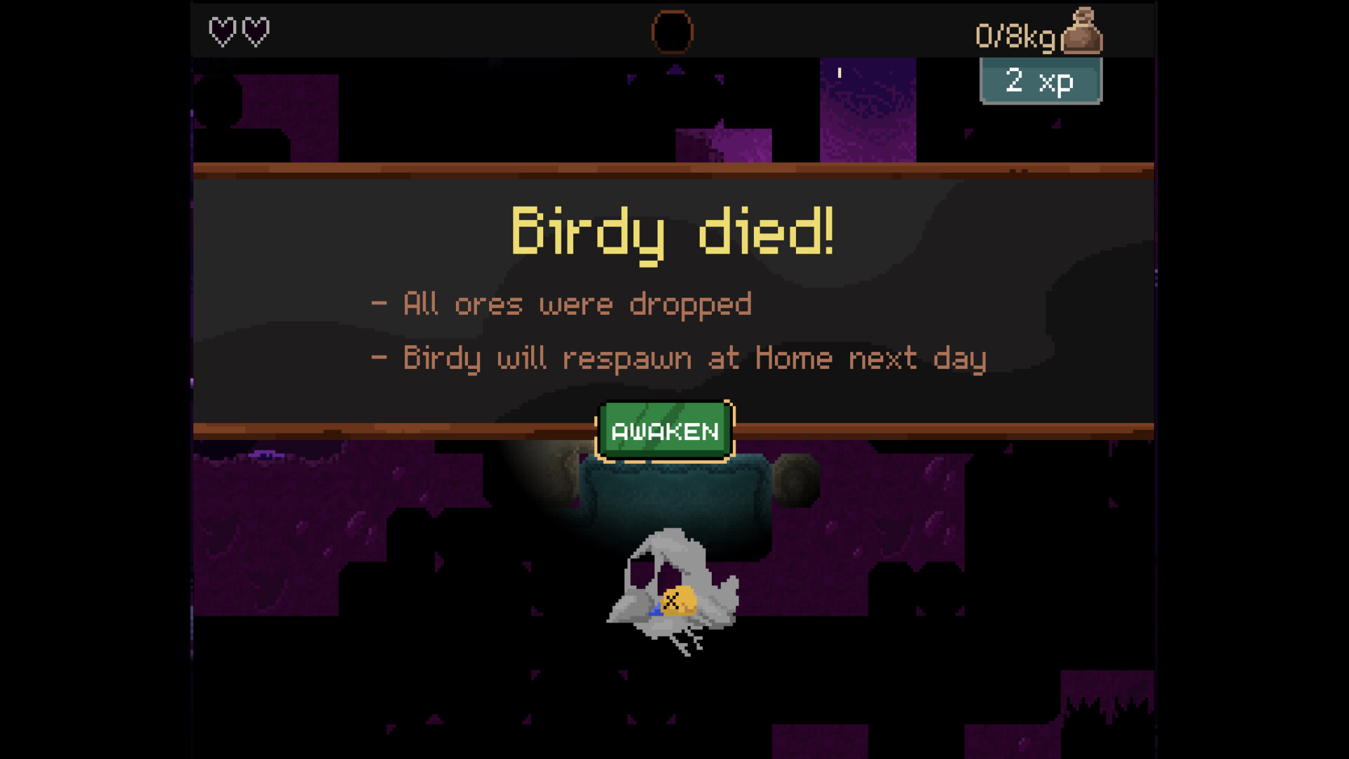 钻头鸟/Drill Bird 钻头鸟/Drill Bird