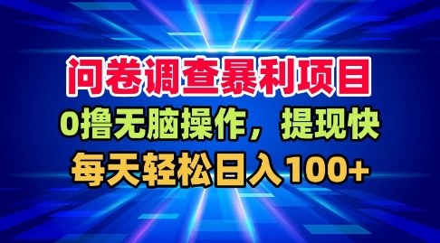 问卷调查暴利项目，0撸无脑操作，提现快，每天轻松日入100+【揭秘】-邪修侠 - 演示