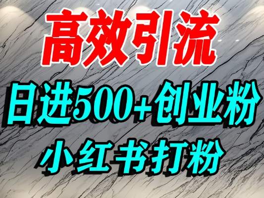 怎么打创业粉？小红书预算3000项目推荐引流精准创业粉，单人操作日引500+精准创业粉-邪修侠 - 演示