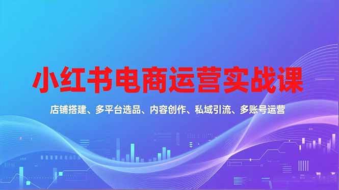 （16695期）小红书电商运营实战课，店铺搭建、多平台选品、内容创作、私域引流、多账号运营等玩法-网亿资源平台