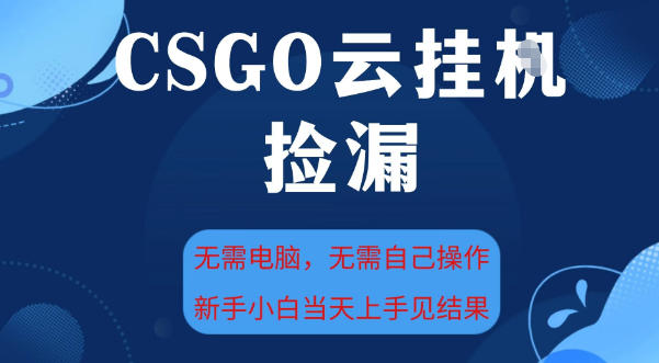 CSGO云挂G全自动捡漏，最新独家玩法，无需电脑操作，新手小白日入5张+【揭秘】-网亿资源平台