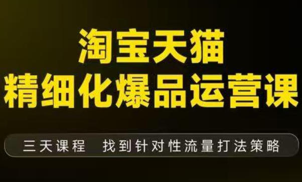 淘宝天猫精细化爆品运营（9月12-14杭州线下课），全方位拆解爆品打造逻辑【音频+字幕+文档】-邪修侠 - 演示