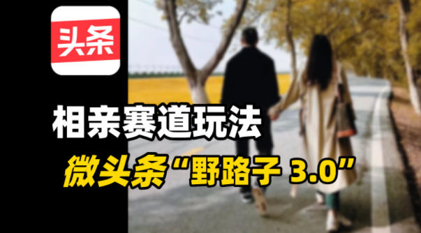 微头条“野路子3.0”相亲赛道玩法，搬砖式操作单号稳定3张-网亿资源平台