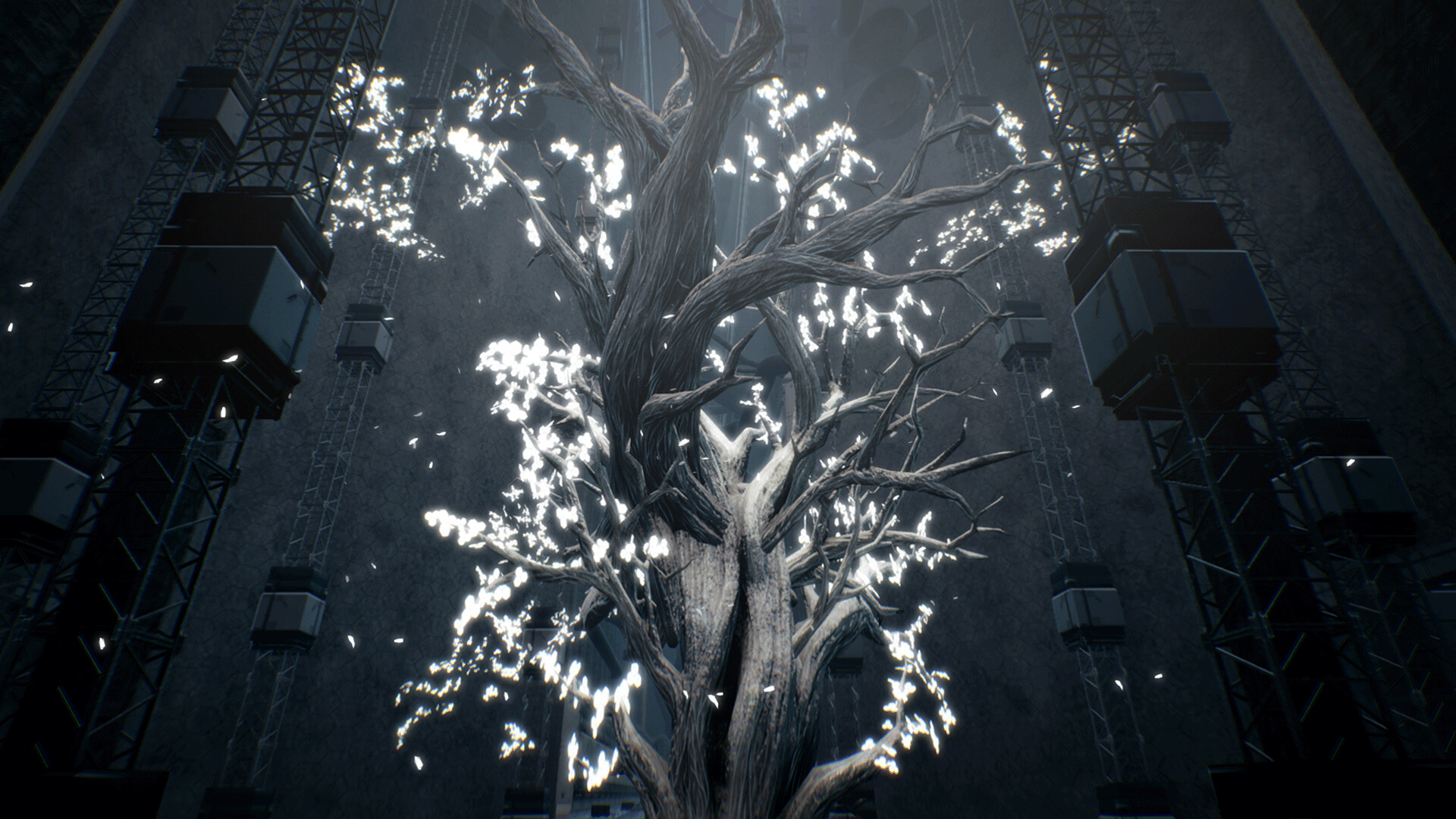 玩偶之巢/Dolls Nest-网亿资源平台