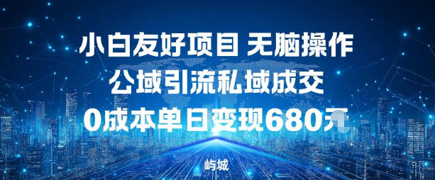 小白友好项目，无脑操作，公域引流私域成交，0成本单日变现680米-邪修侠 - 演示