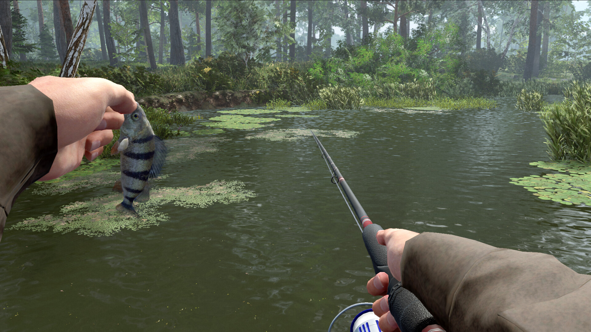 专业钓鱼2/Professional Fishing 2 专业钓鱼2/Professional Fishing 2